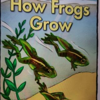 Day-5  How Frogs Grow