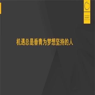 第三章:二、坚持健全会计-陶瓷石块论