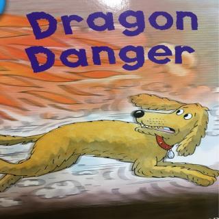The Dragon Danger