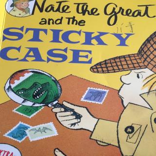 Nate sticky case36~48