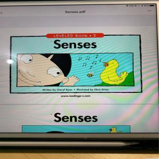 senses