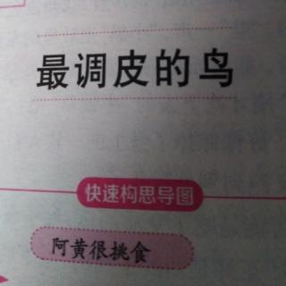 《最调皮的鸟》