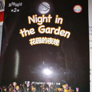 Night in the Garden.1月18日36号