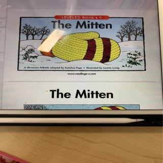 the mitten