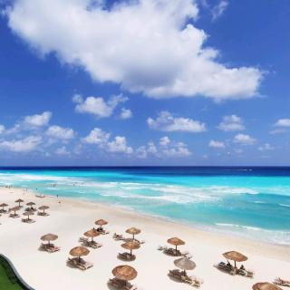 今日英语阅读完成