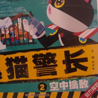 黑猫警长(空中擒敌)