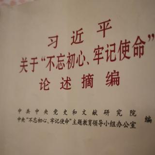 《不忘初心，牢记使命》46