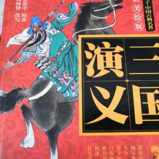 三国演义 第二十九回