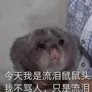 匆匆