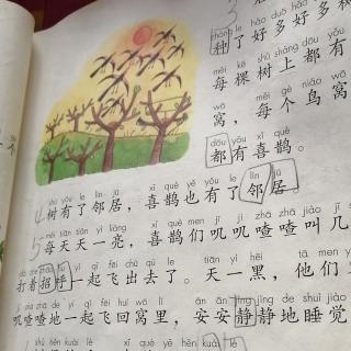 曙光小学一年级2班李钦宸百日阅读《树和喜鹊》