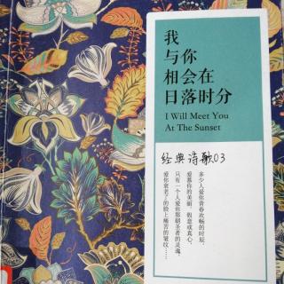 勃洛克《黄昏啊，春天的黄昏》（外二）诵读：柳笛（来自FM139642458)