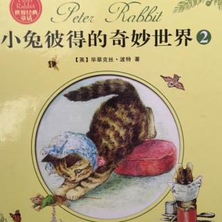 小兔彼得的奇妙世界2-2小不点鼠太太的故事