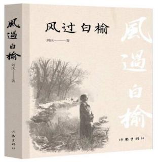 小说《风过白榆》7