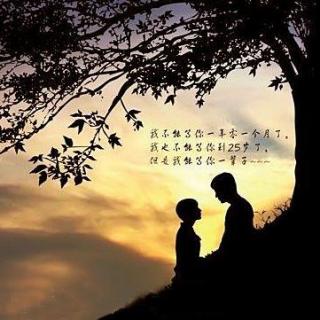 《山楂树之恋》朗诵：夜叔&小喵