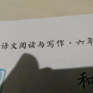 和动物交朋友