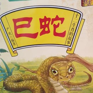 巳蛇，张晗希469字