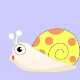 小蜗牛看海
