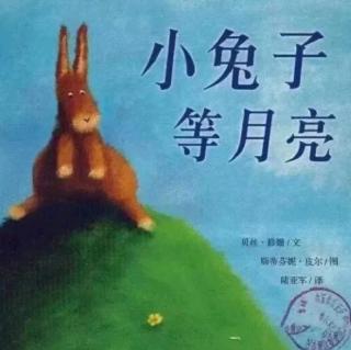 【睡前故事541】飞翔幼儿园老师妈妈❤晚安故事《小兔子等月亮》