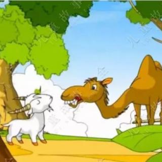 欢欢老师讲故事【骆驼和羊】