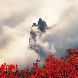 长江三峡| ⑥神女峰