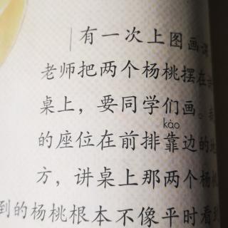 13课《画杨桃》