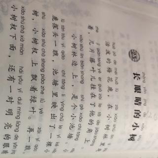 《长眼睛的小树》