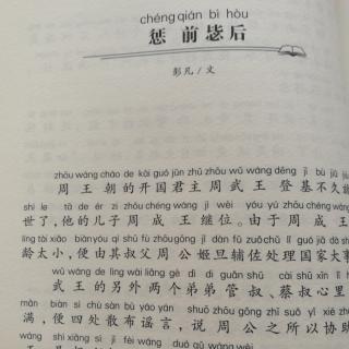 惩前毖后