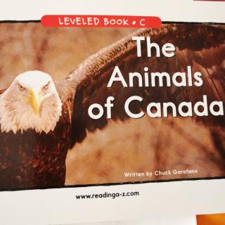 The  Animals  of  Canada