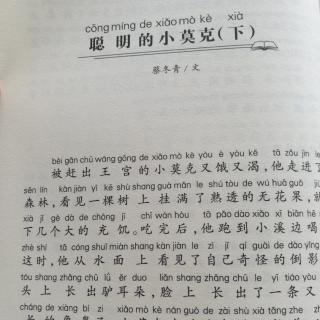 聪明的小莫克