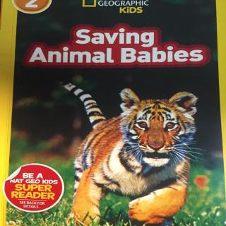Saving Animal Babies （1）