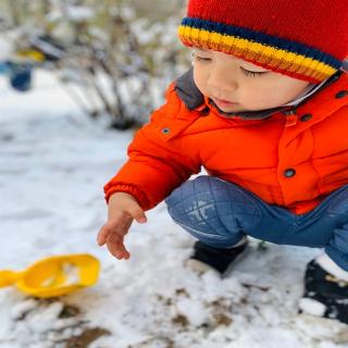 2020-1-22 逢雪宿芙蓉山主人