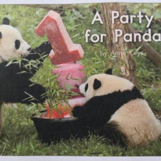 海G2-64.A party for panda