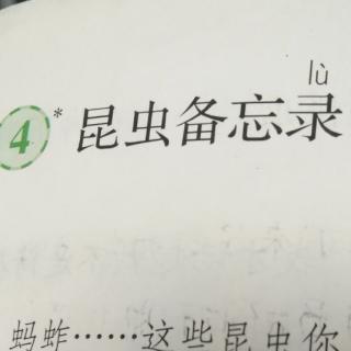 4,蚂蚱