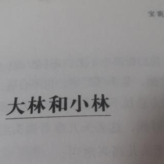 大林和小林