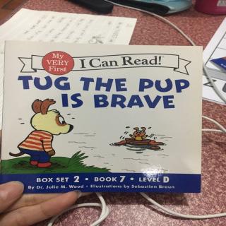 Tug  the pup is brave