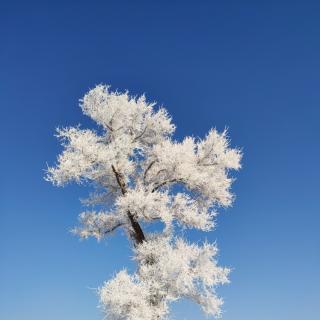 最好的医生是你自己

朗读：懿靖