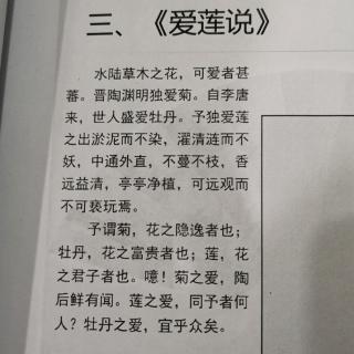 朗读《爱莲说》（周敦颐）原文及其译文