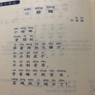 《小螳螂》