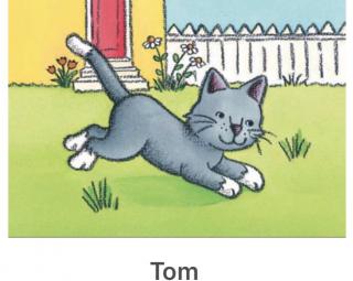 Tom