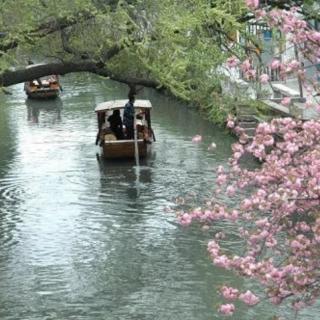 《红尘里的相遇》2作者：雨下罗加 朗诵：生如夏花