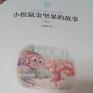 《小松鼠金坚果的故事》