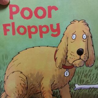 day 18-poor floppy