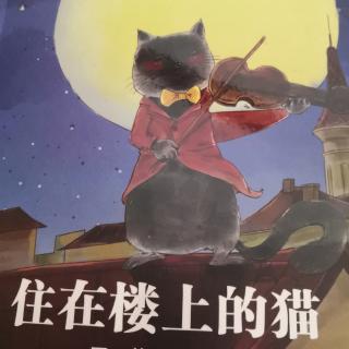 住在楼上的猫