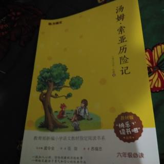 《汤姆.索亚历险记》