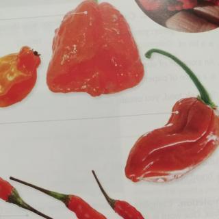The hottest chilies