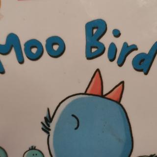 D7-Moo bird