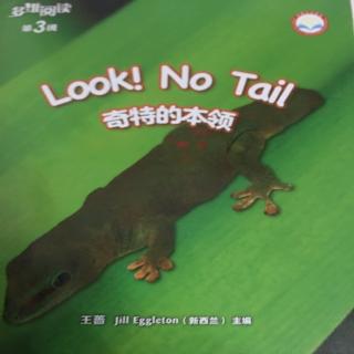Look！ No tail