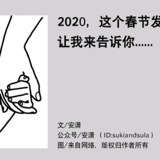 【中文绘本故事】07—《2020，这个春节发生了什么……》