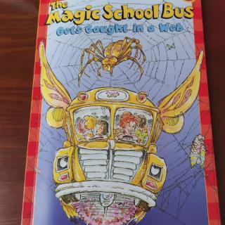 The magic school bus gets caught in a Web
