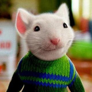 Stuart Little - Chapter 15